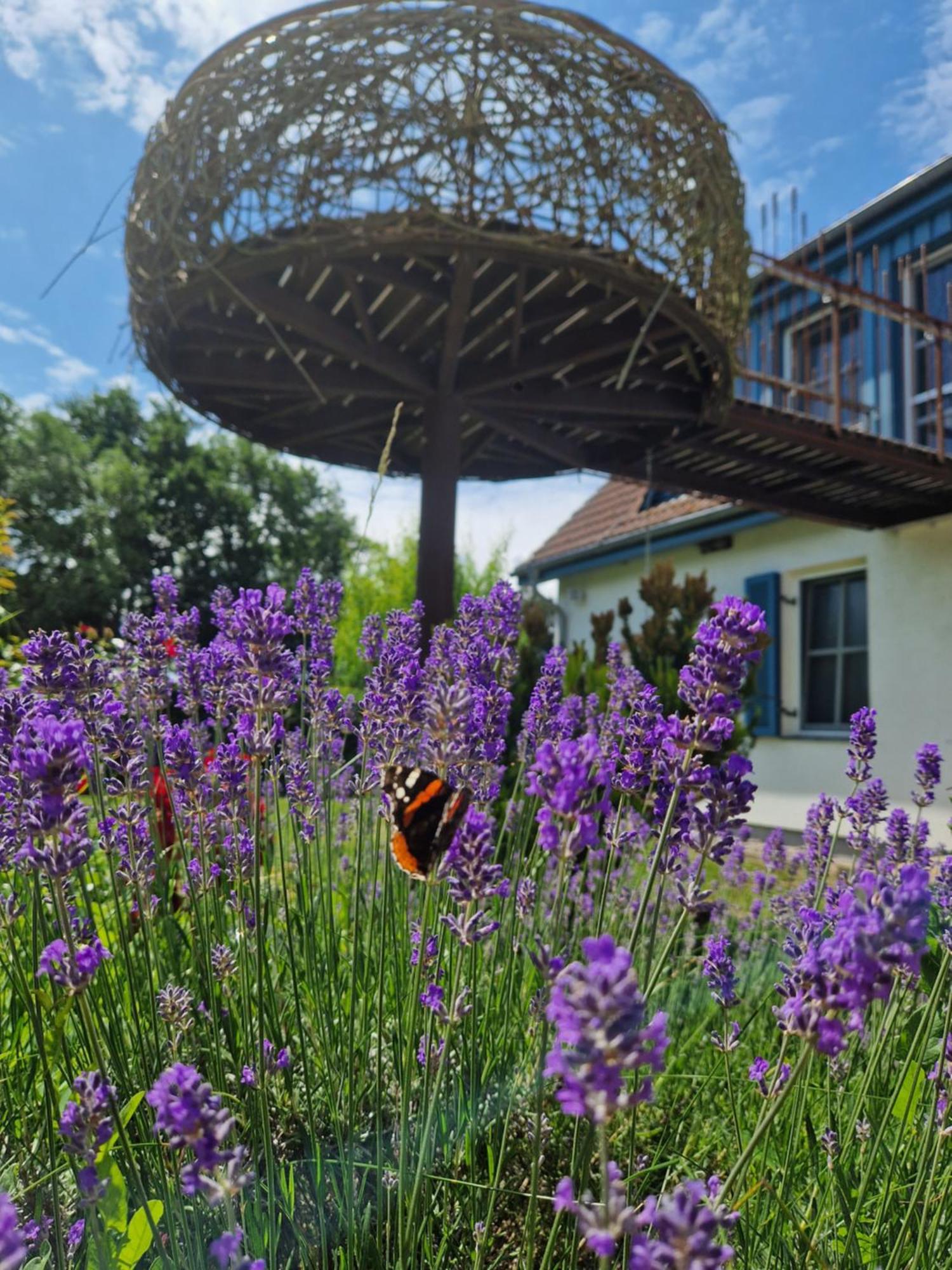Appartamento Haus Am Schilf Wieck Esterno foto